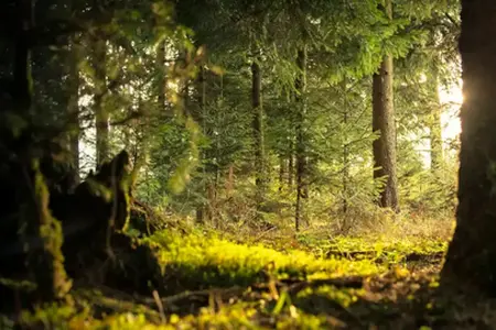 Experiențe în Slovenia pentru cei care călătoresc cu mașina